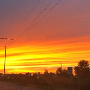 Meet your Posher, Matilda